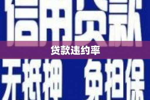宝坻贷款违约率