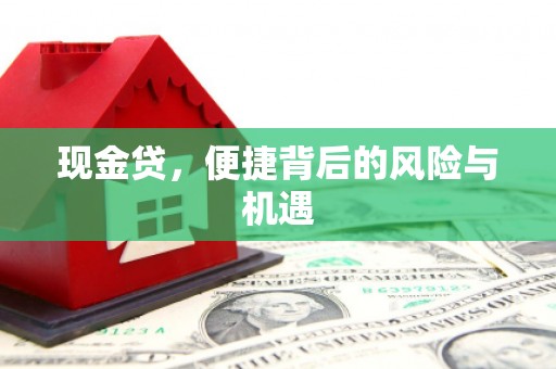 宝坻现金贷，便捷背后的风险与机遇