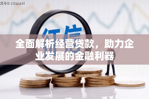 宝坻全面解析经营贷款，助力企业发展的金融利器