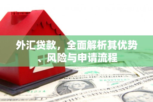宝坻外汇贷款，全面解析其优势、风险与申请流程