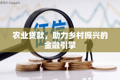 宝坻农业贷款，助力乡村振兴的金融引擎