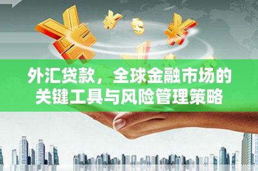 宝坻外汇贷款，全球金融市场的关键工具与风险管理策略