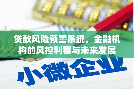 宝坻贷款风险预警系统，金融机构的风控利器与未来发展