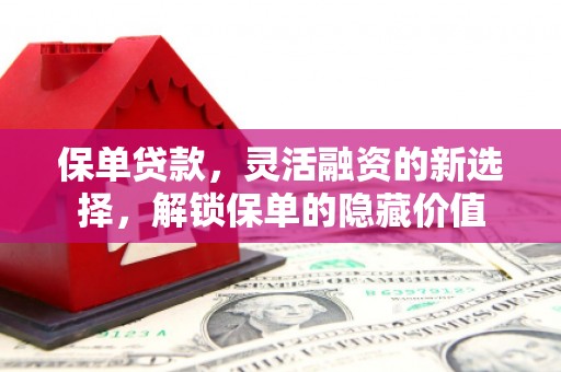 宝坻保单贷款，灵活融资的新选择，解锁保单的隐藏价值