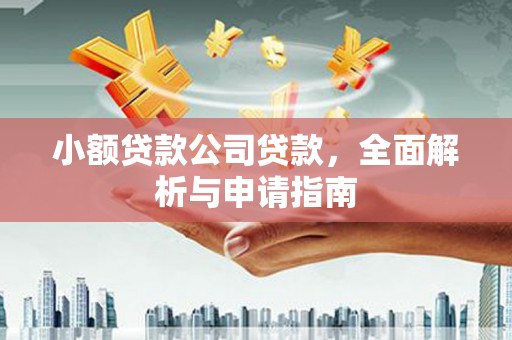 宝坻小额贷款公司贷款，全面解析与申请指南