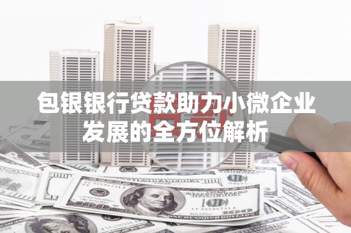 宝坻包银银行贷款助力小微企业发展的全方位解析
