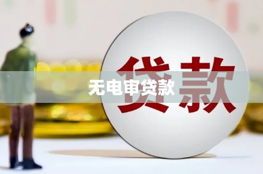 宝坻无电审贷款