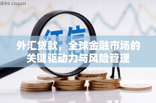 宝坻外汇贷款，全球金融市场的关键驱动力与风险管理