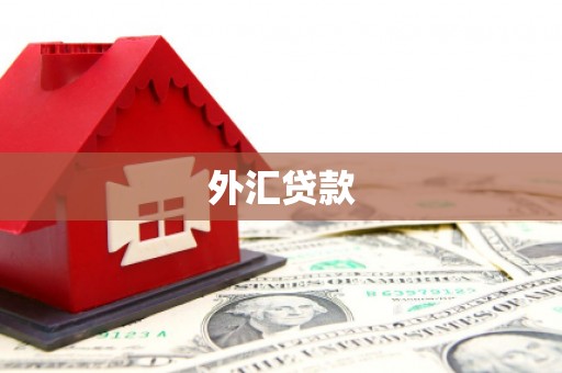 宝坻外汇贷款