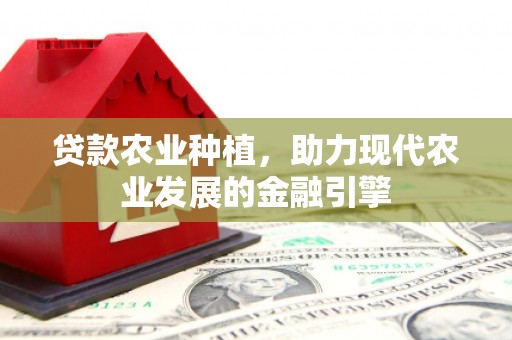 宝坻贷款农业种植，助力现代农业发展的金融引擎