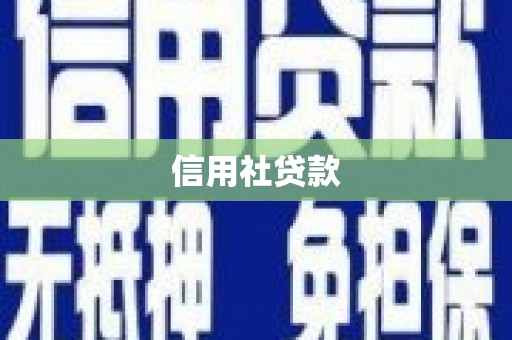宝坻信用社贷款