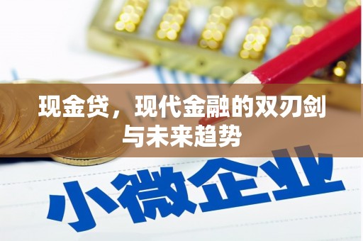 宝坻现金贷，现代金融的双刃剑与未来趋势