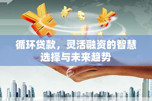 宝坻循环贷款，灵活融资的智慧选择与未来趋势