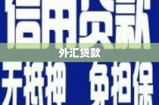 宝坻外汇贷款