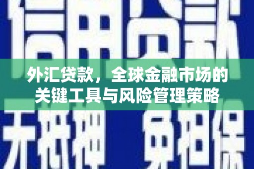 宝坻外汇贷款，全球金融市场的关键工具与风险管理策略