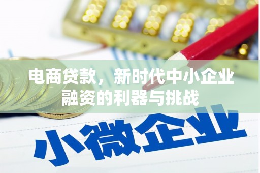宝坻电商贷款，新时代中小企业融资的利器与挑战