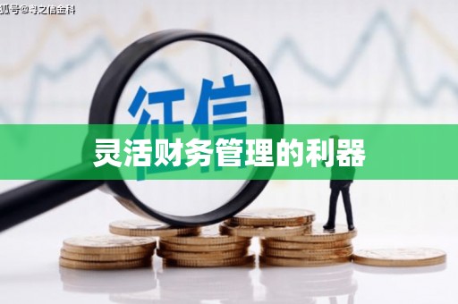 宝坻灵活财务管理的利器