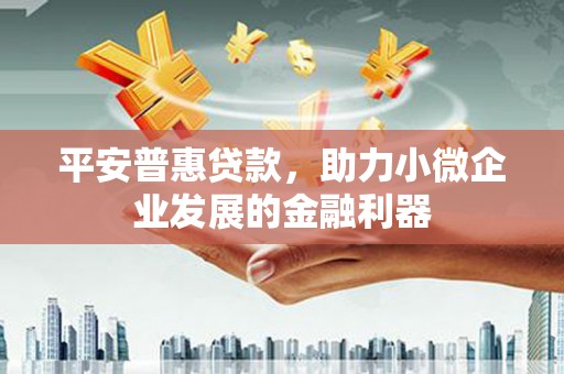 宝坻平安普惠贷款，助力小微企业发展的金融利器