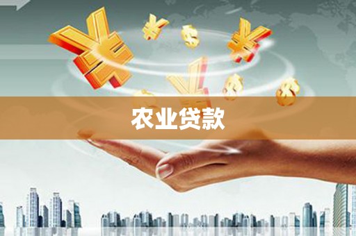 宝坻农业贷款
