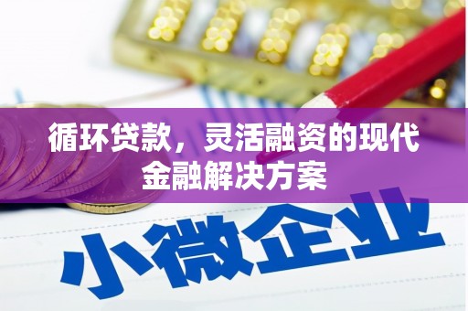 宝坻循环贷款，灵活融资的现代金融解决方案