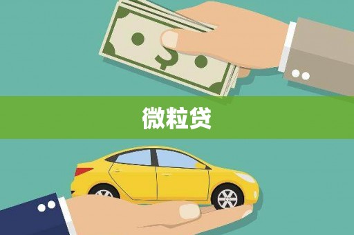 宝坻微粒贷