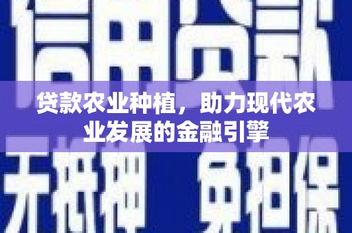 宝坻贷款农业种植，助力现代农业发展的金融引擎