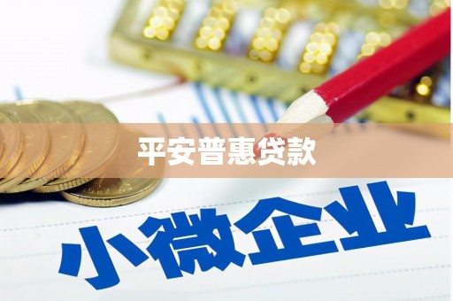宝坻平安普惠贷款