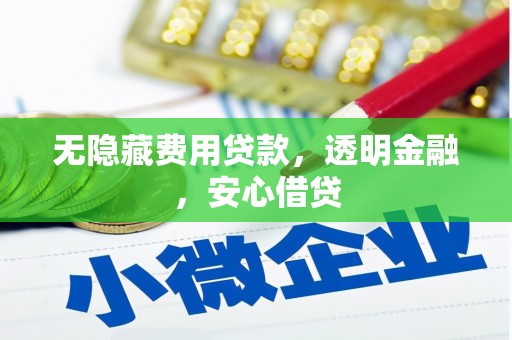 宝坻无隐藏费用贷款，透明金融，安心借贷