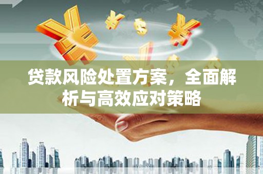 宝坻贷款风险处置方案，全面解析与高效应对策略
