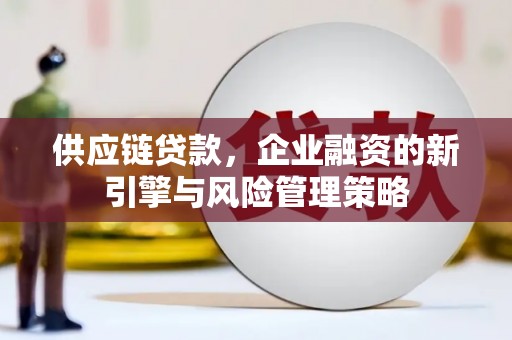 宝坻供应链贷款，企业融资的新引擎与风险管理策略
