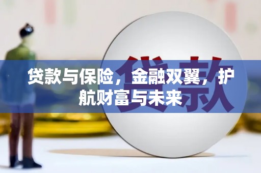 宝坻贷款与保险，金融双翼，护航财富与未来