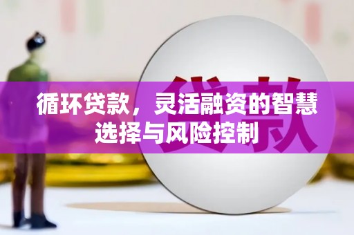 宝坻循环贷款，灵活融资的智慧选择与风险控制