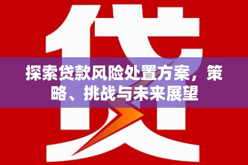 宝坻探索贷款风险处置方案，策略、挑战与未来展望