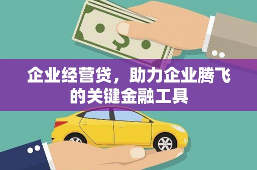 宝坻企业经营贷，助力企业腾飞的关键金融工具