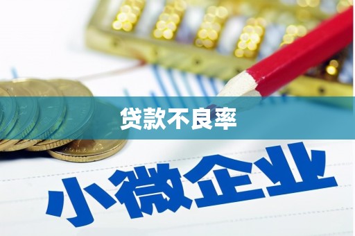 宝坻贷款不良率