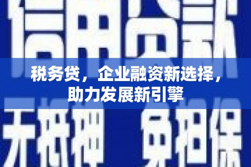 宝坻税务贷，企业融资新选择，助力发展新引擎