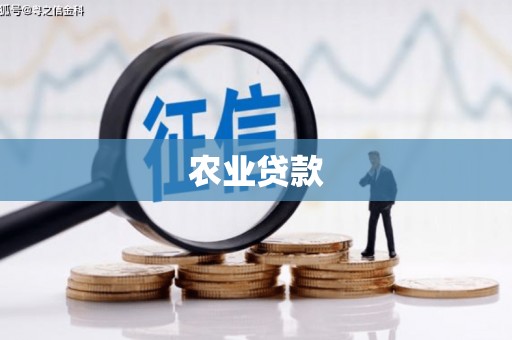宝坻农业贷款