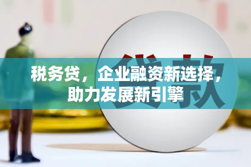 宝坻税务贷，企业融资新选择，助力发展新引擎