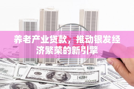 宝坻养老产业贷款，推动银发经济繁荣的新引擎