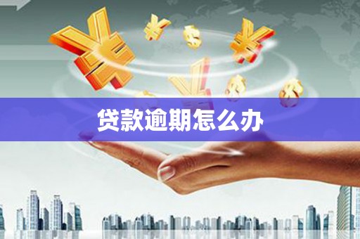 宝坻贷款逾期怎么办