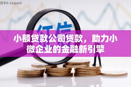 宝坻小额贷款公司贷款，助力小微企业的金融新引擎