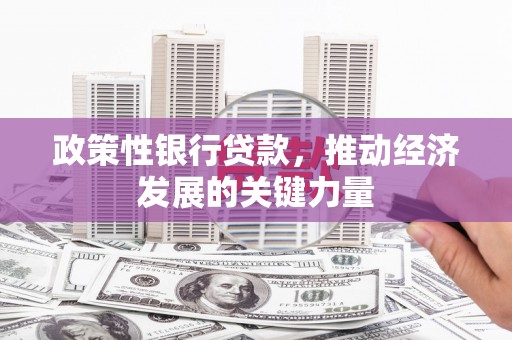 宝坻政策性银行贷款，推动经济发展的关键力量