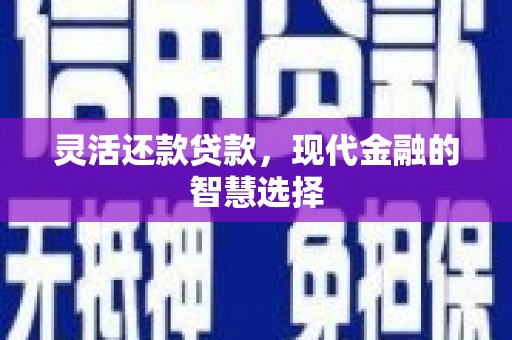 宝坻灵活还款贷款，现代金融的智慧选择