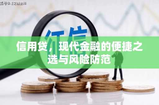 宝坻信用贷，现代金融的便捷之选与风险防范