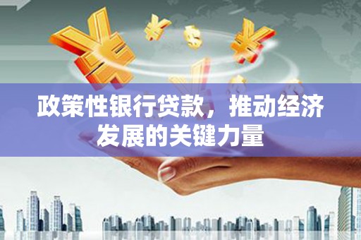 宝坻政策性银行贷款，推动经济发展的关键力量