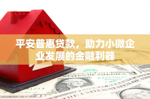 宝坻平安普惠贷款，助力小微企业发展的金融利器