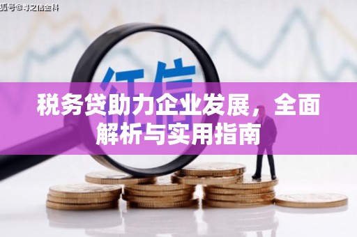 宝坻税务贷助力企业发展，全面解析与实用指南