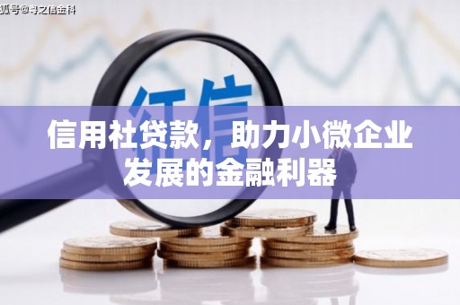 宝坻信用社贷款，助力小微企业发展的金融利器