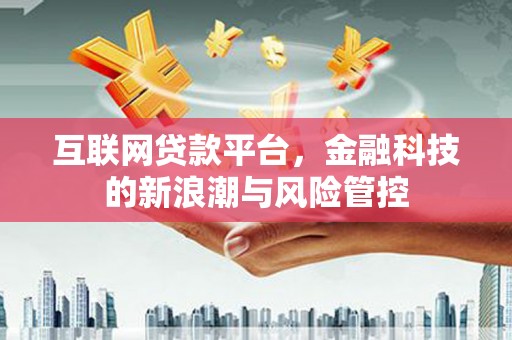 宝坻互联网贷款平台，金融科技的新浪潮与风险管控