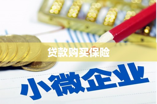 宝坻贷款购买保险